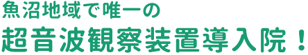 魚沼地域で唯一の超音波観察装置導入院！